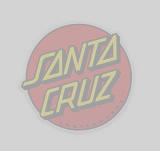 santa cruz ecole de surf